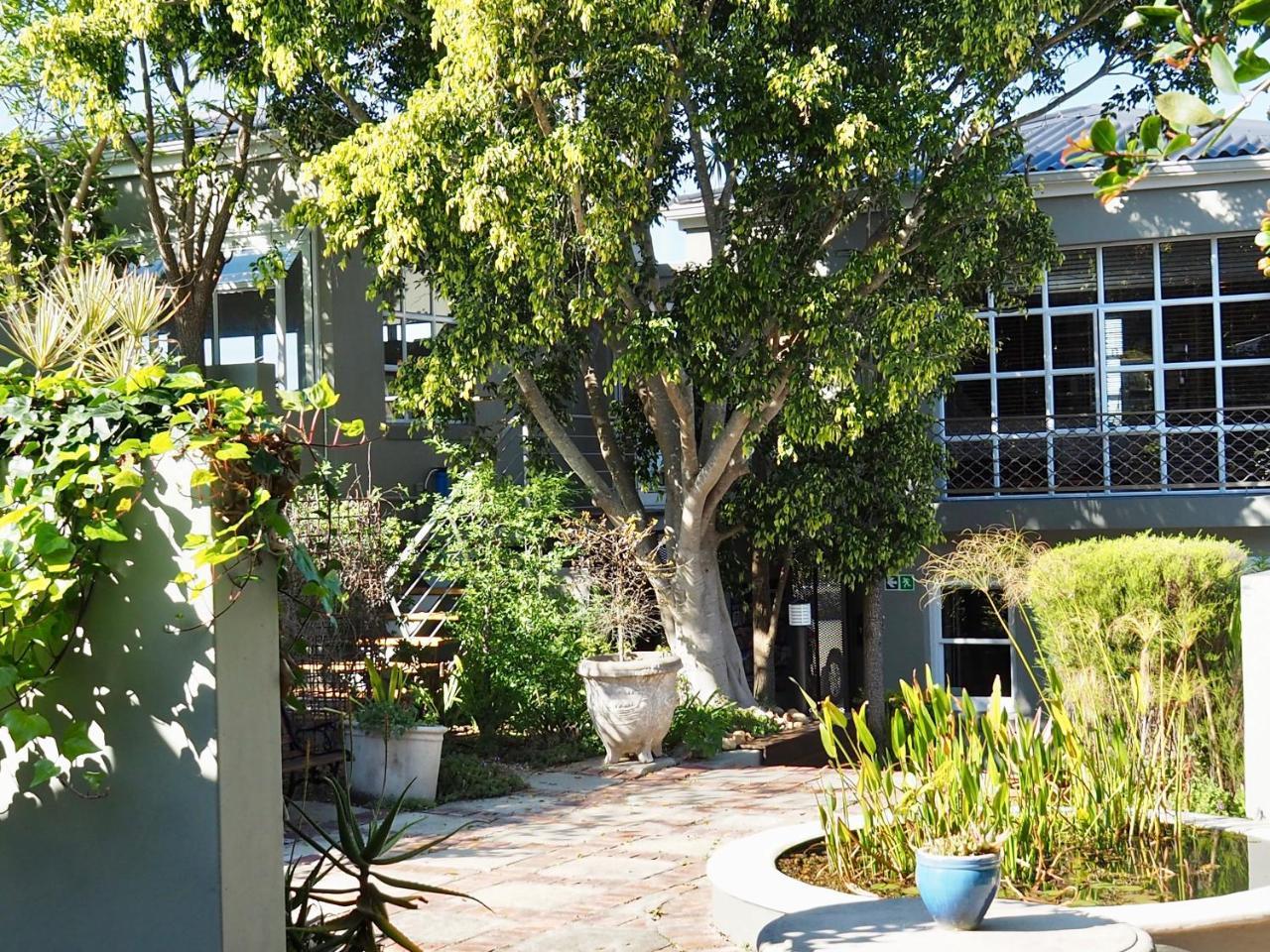 Hillview Boutique Apartments 克尼斯纳 外观 照片